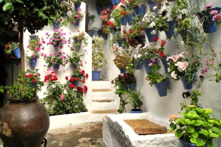 Córdoba: Guided Tour of the Patios - Exploring Córdoba’s Patios: What You Can Expect