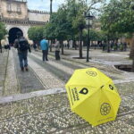 CORDOBA: GUIDED VISIT TO THE MOSQUE-CATHEDRAL OF CORDOBA WITHOUT QUEUES SPANISH - Why This Tour Offers Great Value