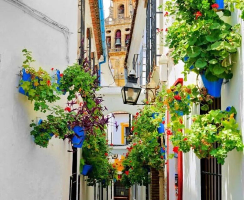 Cordoba: Historical Monuments of Cordoba City Walking Tour - A Detailed Breakdown of the Tour