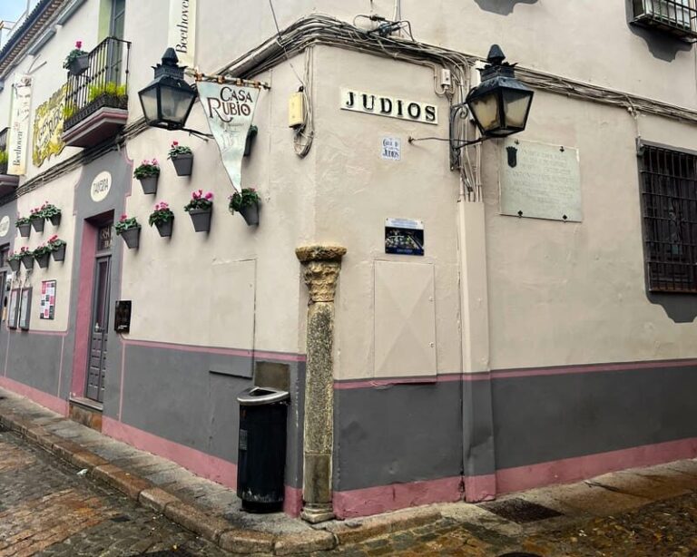 Cordoba: Jewish History Private Tour - What Makes This Tour Stand Out?