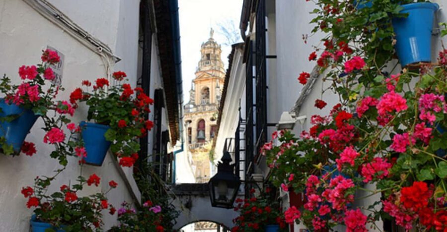 Córdoba: Mosque-Cathedral of Cordoba Private Walking Tour - Deep Dive: A Closer Look at the Experience