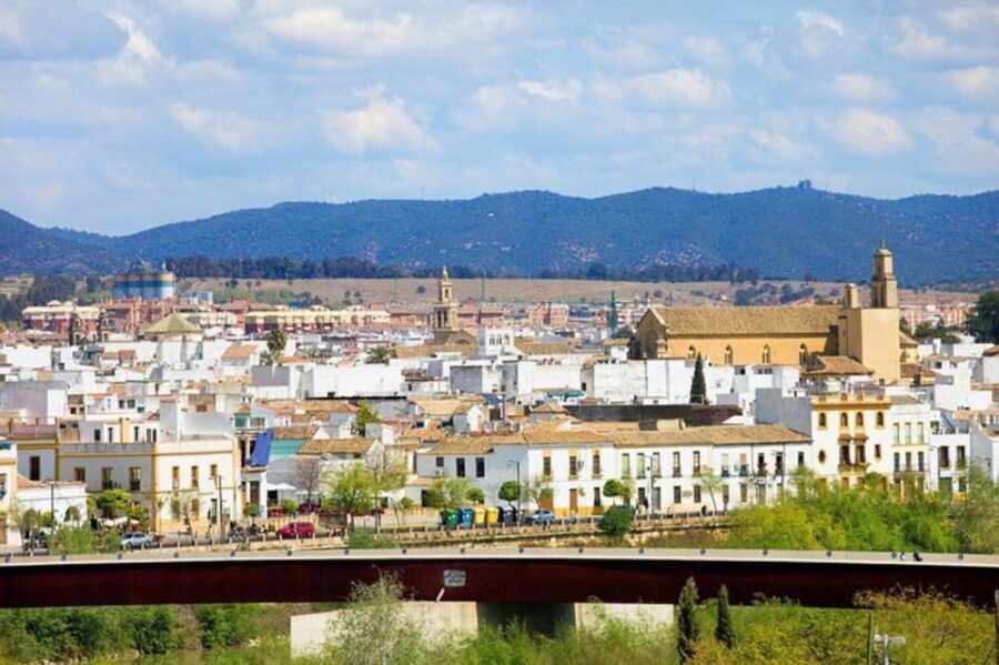 Cordoba : Patios Private Walking Tour - Who Will Love This Tour?
