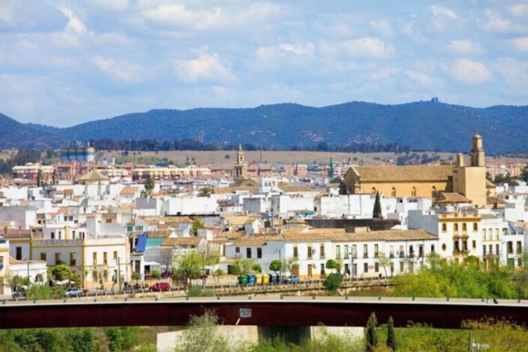 Cordoba: Private custom tour with a local guide - A Close Look at the Tour Experience
