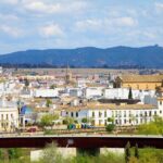 Cordoba Private Custom Walking Tour With A Guide (Private Tour) - The Value of a Private, Guided Tour