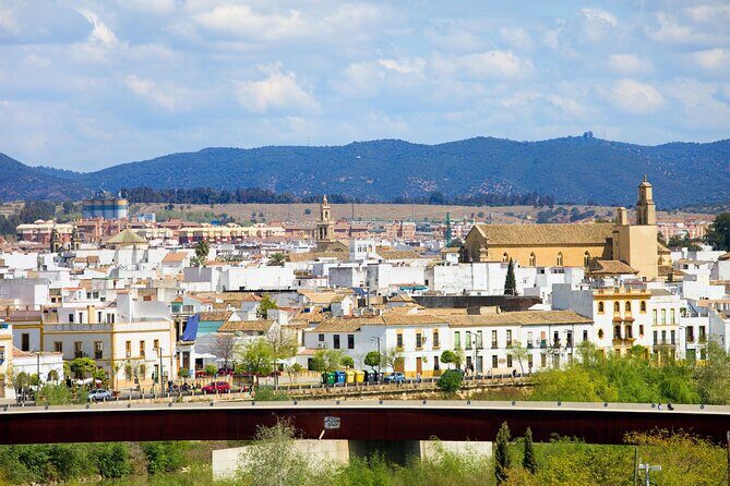Cordoba Private Custom Walking Tour With A Guide (Private Tour) - The Value of a Private, Guided Tour