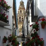 Cordoba - Private Tour including visit to the Fortress - Exploring the itinerary in detail