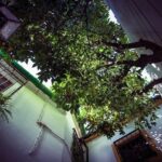 Córdoba Rooftop and Terraces Experience - Frequently Asked Questions