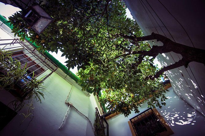 Córdoba Rooftop and Terraces Experience - Frequently Asked Questions
