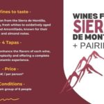 Córdoba: Sierra de Montilla Wine Tasting and Pairing - Final Thoughts