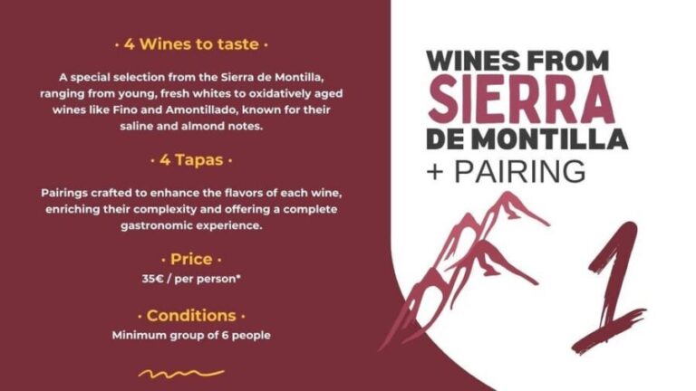 Córdoba: Sierra de Montilla Wine Tasting and Pairing - Final Thoughts