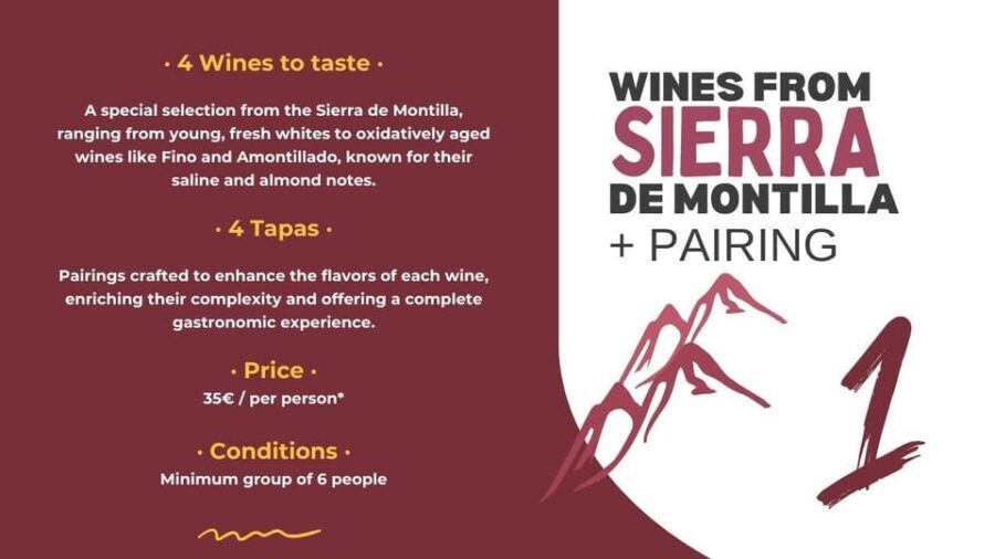 Córdoba: Sierra de Montilla Wine Tasting and Pairing - Final Thoughts