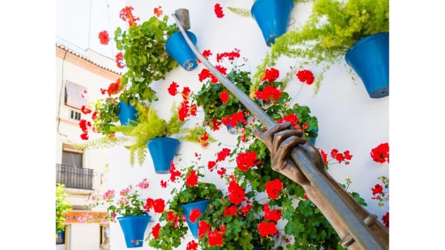 Cordoba's Authentic Patios: 2-Hour Tour with Tickets - The Sum Up