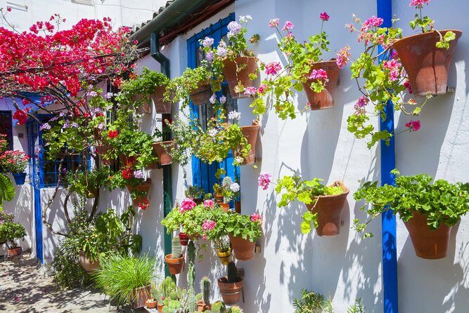 Cordoba's Authentic Patios: 2-Hour Tour with Tickets - An In-Depth Look at the Tour Itinerary