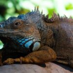 Corfu Aquarium Ticket with Tour Included - FAQs about the Corfu Aquarium Guided Tour
