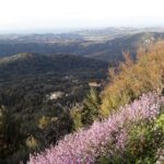 Corfu Countryside Hiking Tour - Who Will Enjoy This Tour?