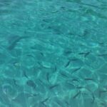 Corfu Private Boat Tour - Exploring Corfu from the Water: What to Expect