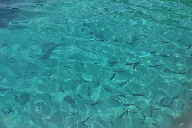 Corfu Private Boat Tour - Exploring Corfu from the Water: What to Expect