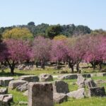 Corinth Canal and Ancient Olympia Private Trip from Athens - Transportation, Comfort, and Practicalities