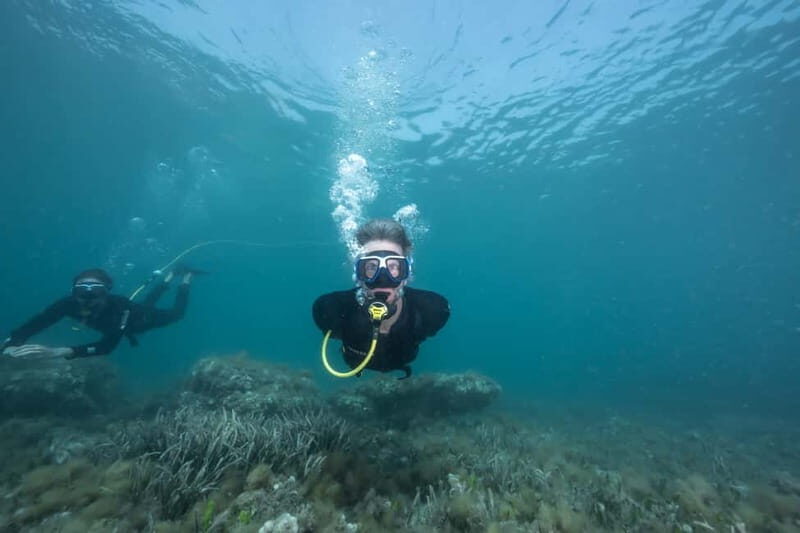 Corralejo: Lobos Island Beginner Dive Boat Tour and Snorkel - Why This Tour Stands Out