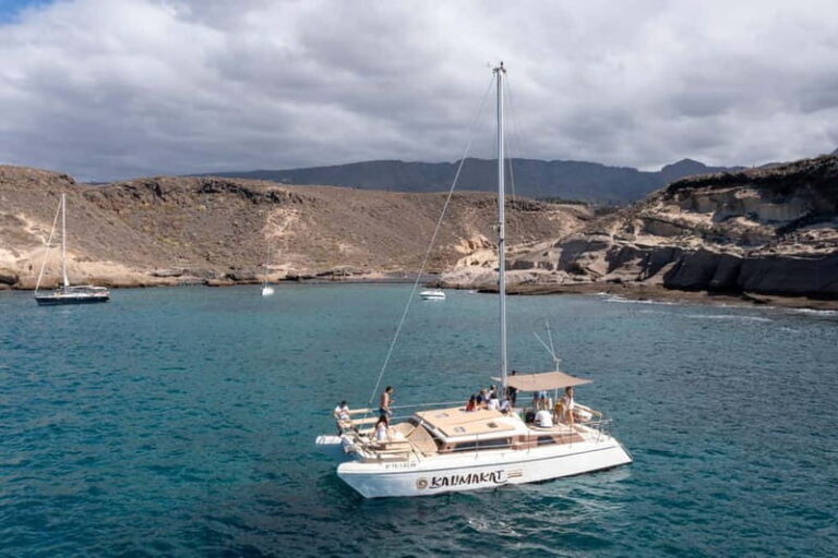 Costa Adeje: Catamaran Tour, Snorkelling, Snacks & Drinks - Snorkeling and Marine Encounters