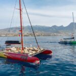 Costa Adeje: Masca and Los Gigantes Whale Watching Cruise - Final Thoughts