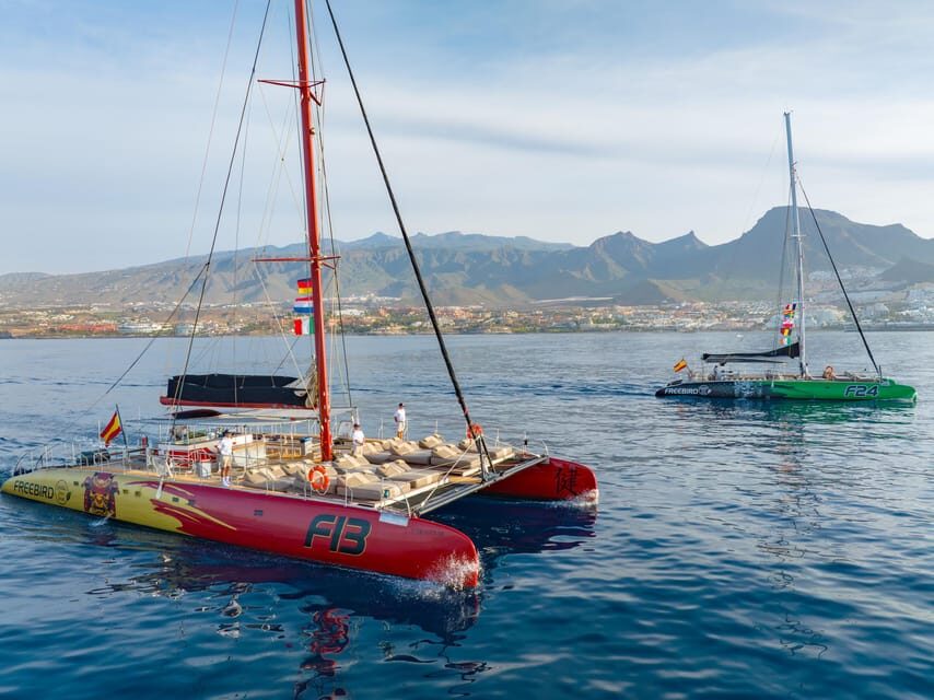 Costa Adeje: Masca and Los Gigantes Whale Watching Cruise - Final Thoughts