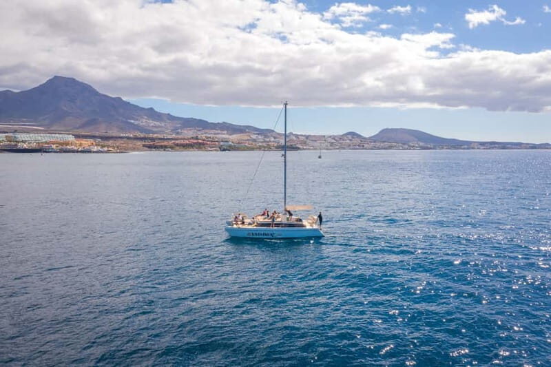 Costa Adeje: Private Catamaran Tour 22 Persons Max - An In-Depth Look at the Private Catamaran Experience