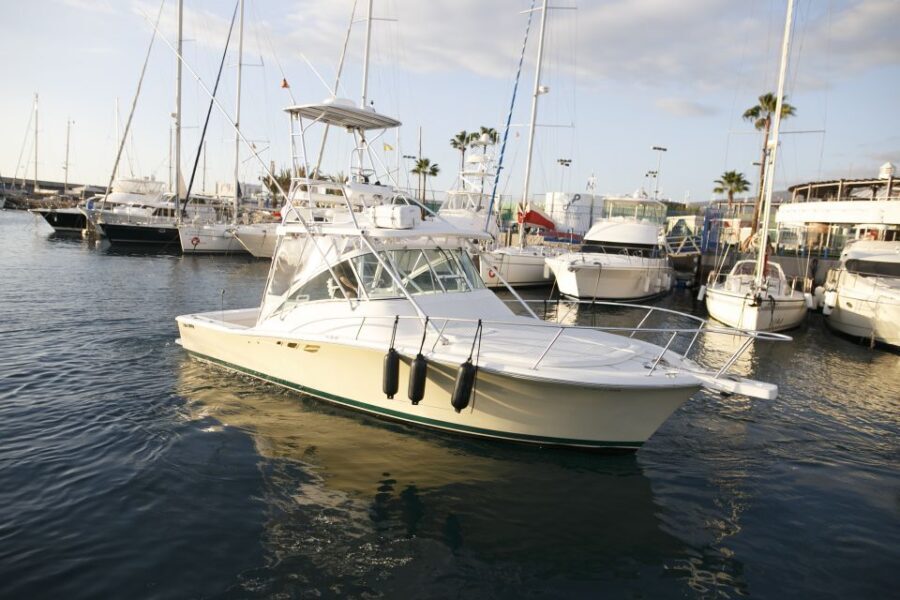Costa Adeje: Private Yacht Sailing Tour from Puerto Colón - Who Will Love This Tour?