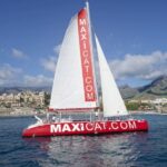 Costa Adeje: Whale and Dolphin Cruise with Food and Pickup - The Experience in Detail