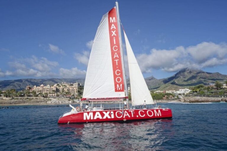 Costa Adeje: Whale and Dolphin Cruise with Food and Pickup - The Experience in Detail