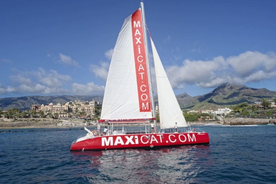 Costa Adeje: Whale and Dolphin Cruise with Food and Pickup - The Experience in Detail