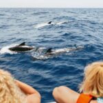 Costa Adeje: Whale Watching Catamaran Tour with Drinks - Who Would Love This Tour?