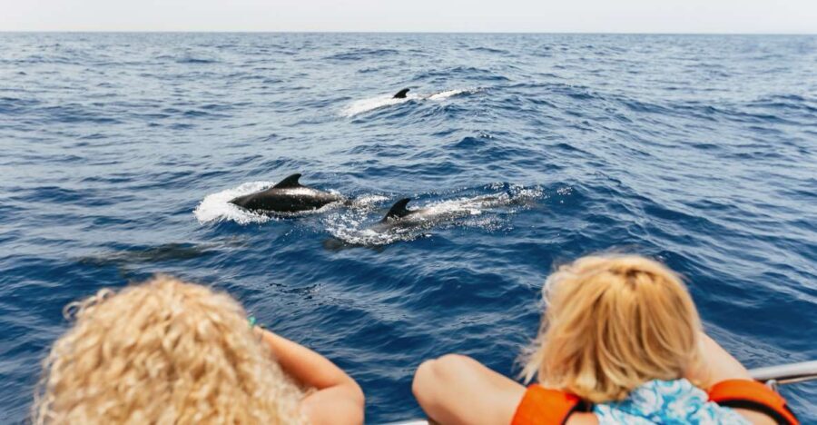 Costa Adeje: Whale Watching Catamaran Tour with Drinks - Who Would Love This Tour?