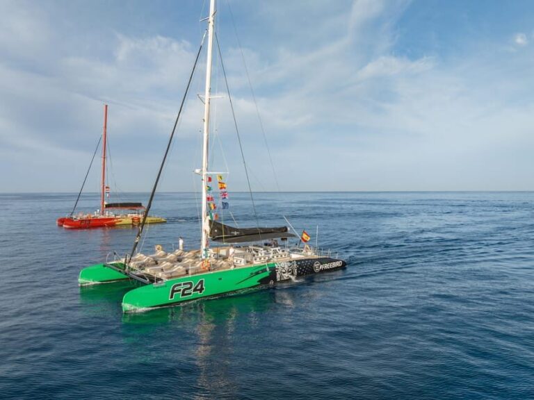 Costa Adeje: Whale Watching Cruise with Snack and Drinks - Marine Wildlife: What We Saw and Learned