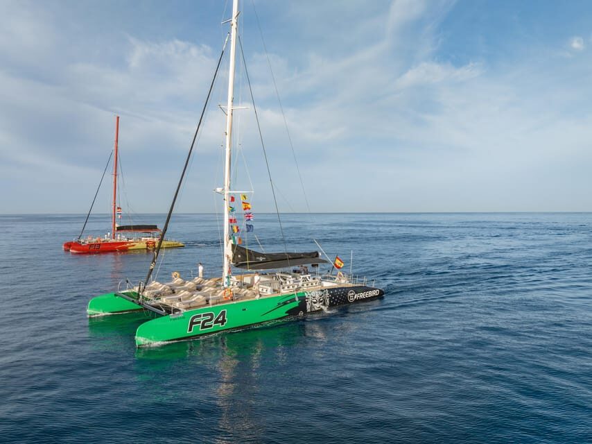 Costa Adeje: Whale Watching Cruise with Snack and Drinks - Marine Wildlife: What We Saw and Learned