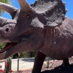 Costa Blanca: DinoPark Algar Entry Ticket - Why This Experience Works