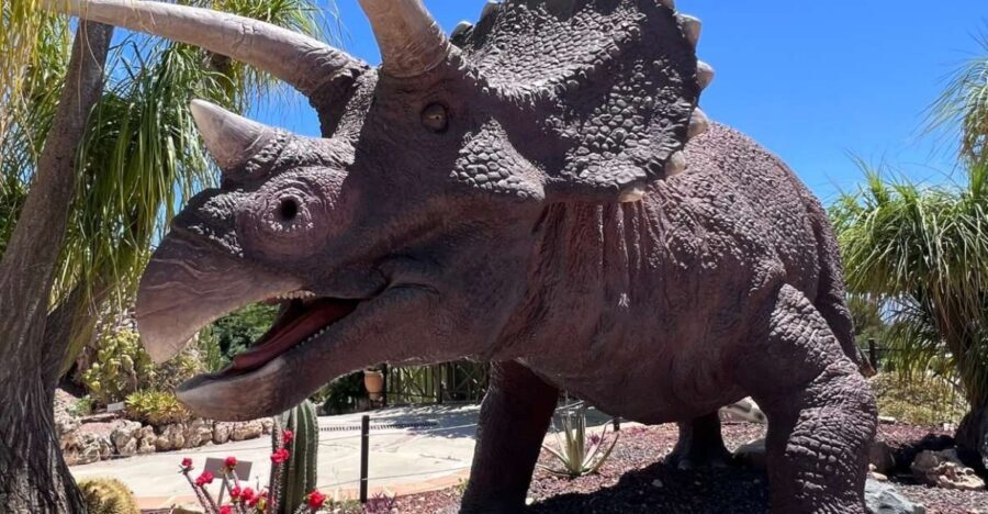 Costa Blanca: DinoPark Algar Entry Ticket - Why This Experience Works