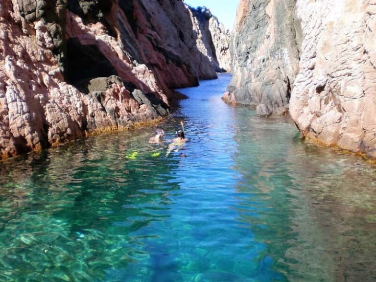 Costa Brava: A day of sailing, sun, and wine among picturesque coves - A Day Tailored for Adventure and Relaxation