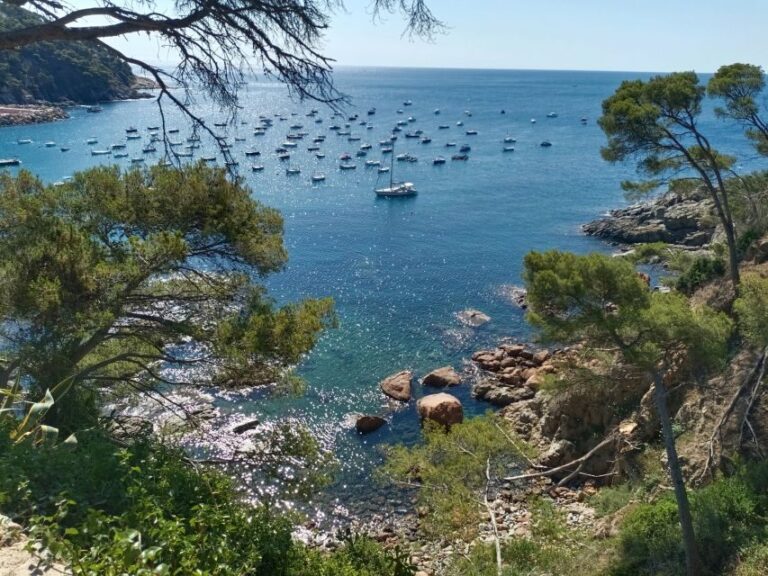 Costa Brava and Medieval Villages Full Day Tour - Is This Tour Worth It?