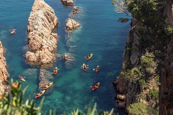 Costa Brava Day Adventure: Kayak, Snorkel & Cliff Jump with Lunch - What Makes This Tour Special?
