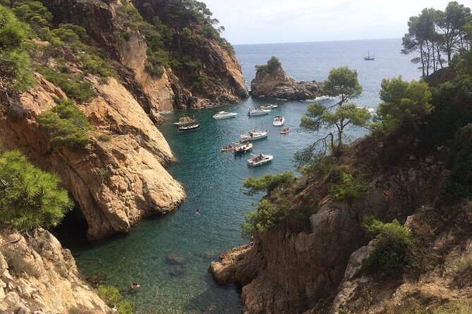 Costa Brava Scenic Hike & Tossa de Mar Small Group Tour - Authentic Experiences and Reviewer Insights