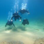 Costa Brava: Scuba Diving Tour, Lunch and a Visit to Tossa de Mar - What Makes This Tour Stand Out?