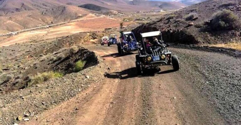 Costa Calma: Buggy Safari - Practical Details: What You Need to Know