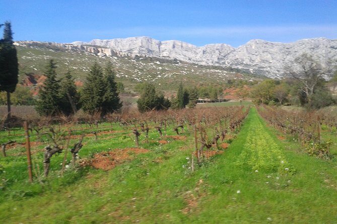 Cotes de Provence Wine Tour from Aix-en-Provence - Who It’s Best For