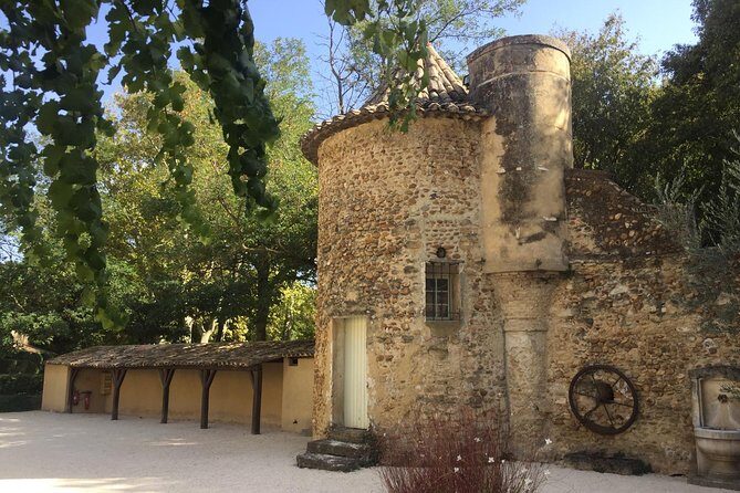 Côtes du Rhône Wine tour: Avignon, Palace of the Popes - Why This Tour Works