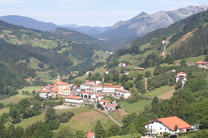 Countryside & Coast Private tour - Authentic Experiences and Insider Tips