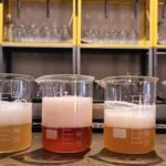 Craft Beer Tasting and tapas in Valencia - Why Travelers Love This Experience