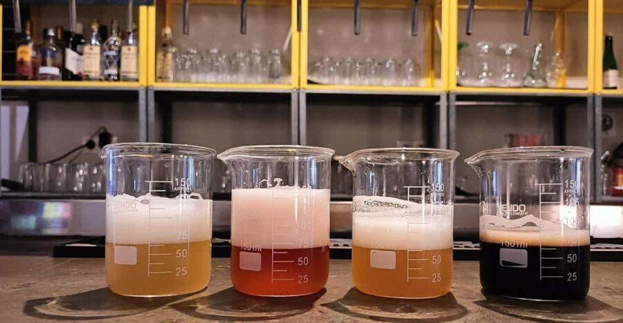 Craft Beer Tasting and tapas in Valencia - Why Travelers Love This Experience