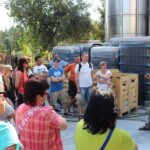 Cretan impressions - Chora Sfakion and Plakias - Exploring the Itinerary in Detail