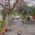 Cretan Traditional Village Assites, with food and drinks - A Closer Look at the Tour Itinerary